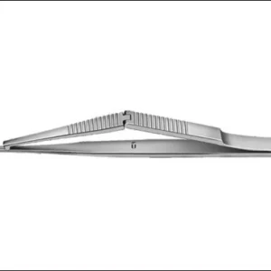 Kelly Descemet's Membrane Punch